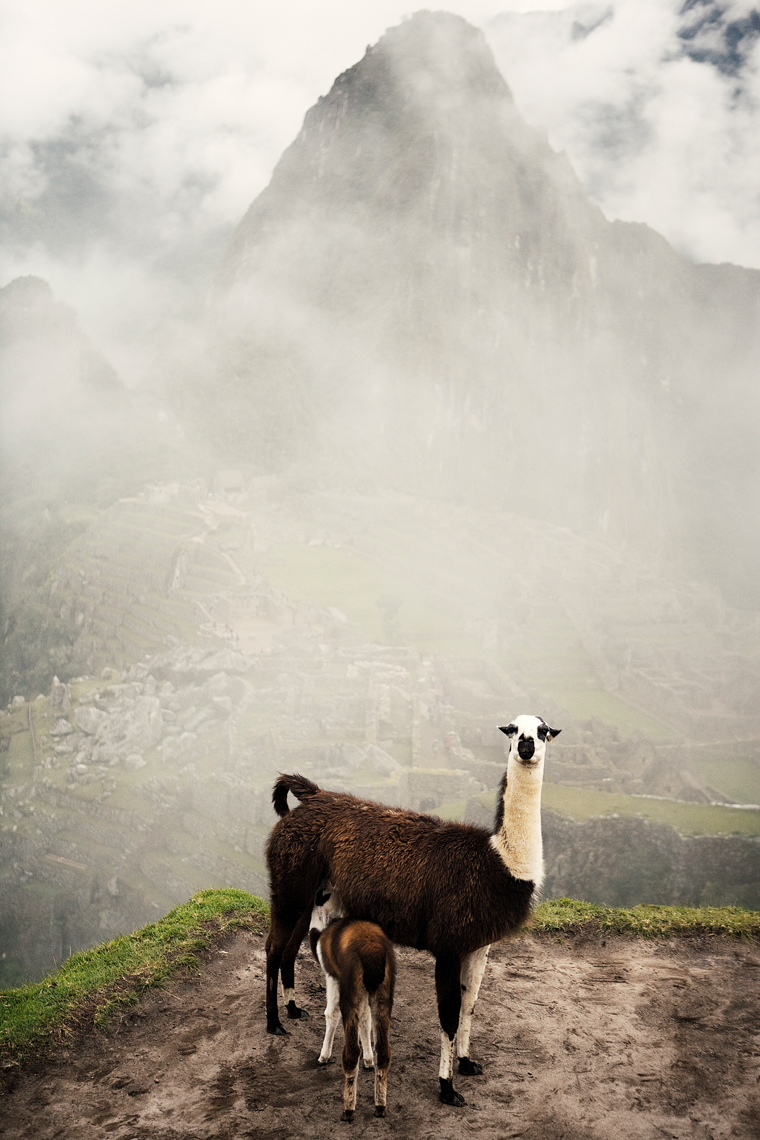 Travel_062